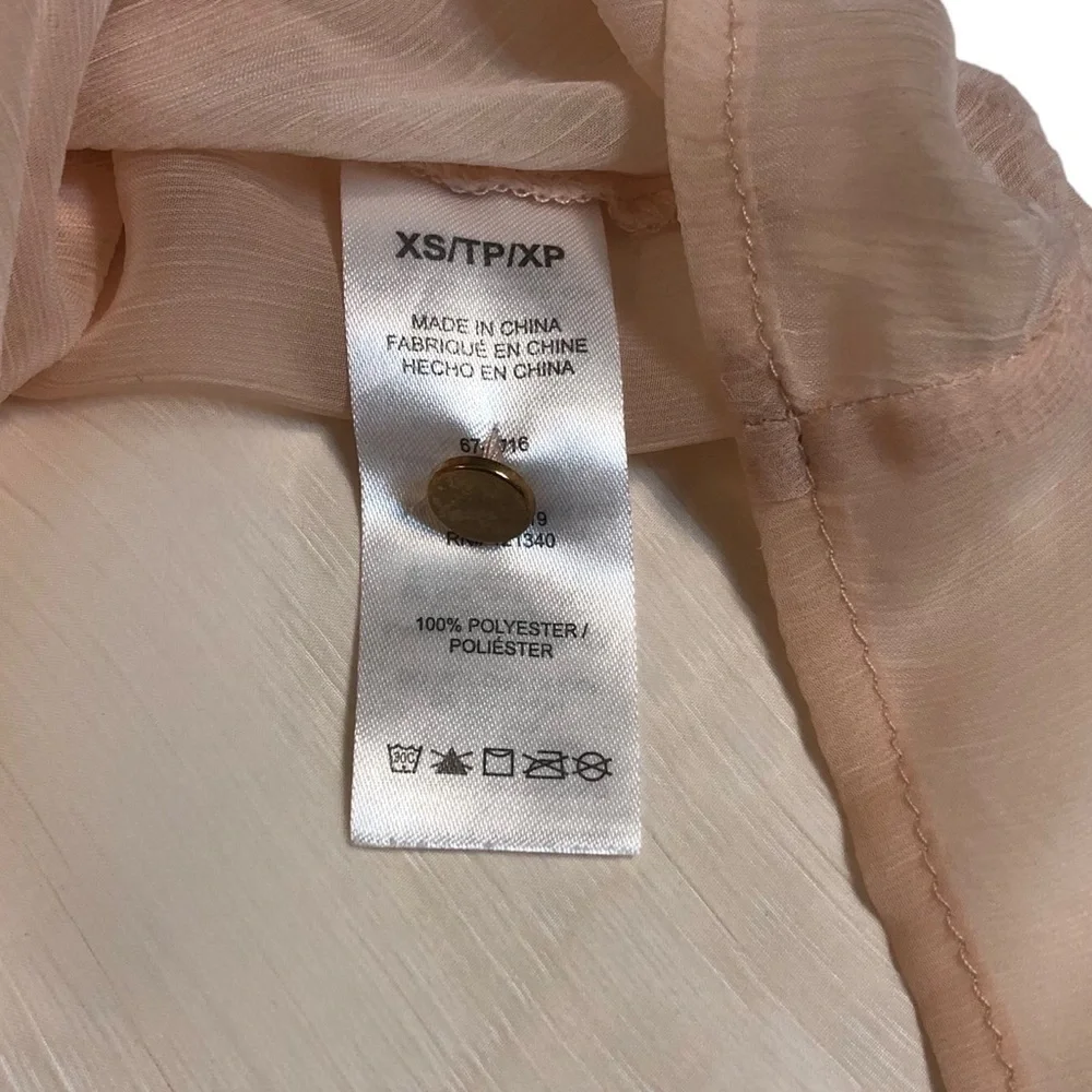 Blush Gauzy Chiffon Sheer Tunic Blouse with Buttons and Pleats - Picture 14 of 16